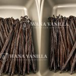 Extraction Grade Vanilla Beans - Product detail image