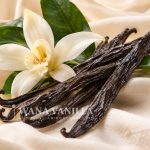 Gourmet Planifolia Vanilla Beans – Grade A+ / A - Main product image
