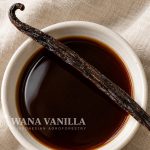 Natural Vanilla Concentrate - Main product image