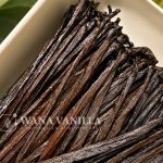 Gourmet Planifolia Vanilla Beans – Grade A+ / A - Product detail image