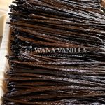Extraction Grade Vanilla Beans - Main product image