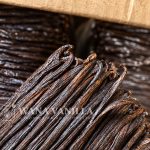 Gourmet Tahitensis Vanilla Beans – Grade A+ / A - Product detail image