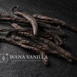 Gourmet Planifolia Vanilla Beans – Grade A+ / A - Product detail image