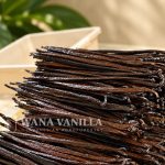 Gourmet Tahitensis Vanilla Beans – Grade A+ / A - Product detail image
